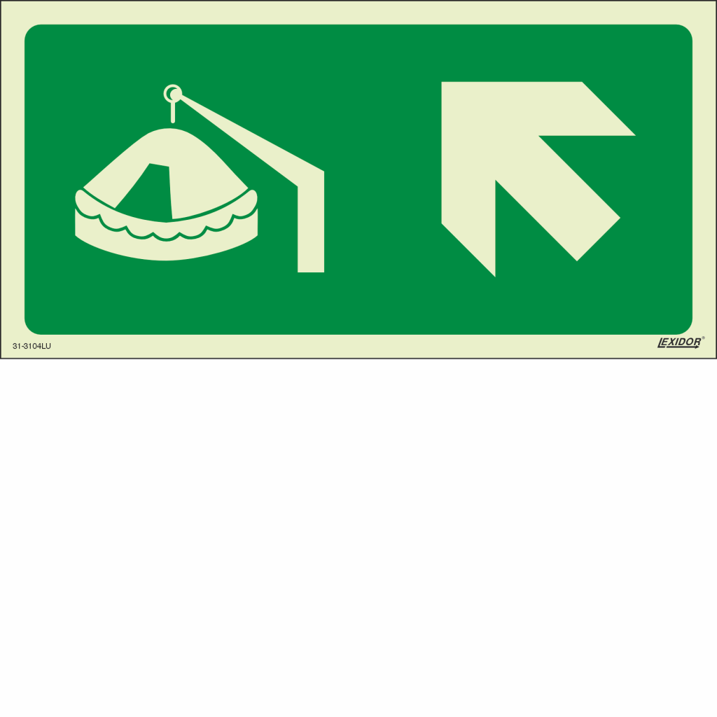 Davit-Launched Liferaft Left Up