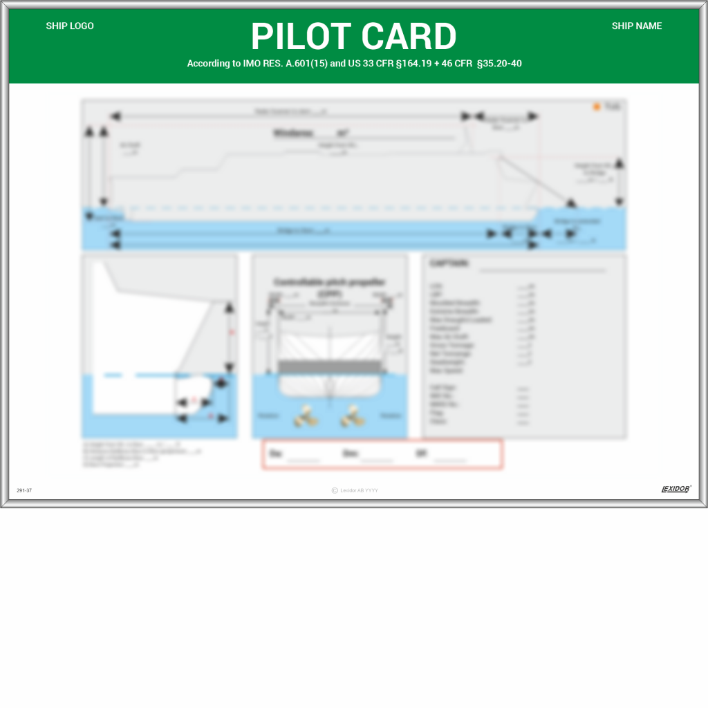 Pilot Card