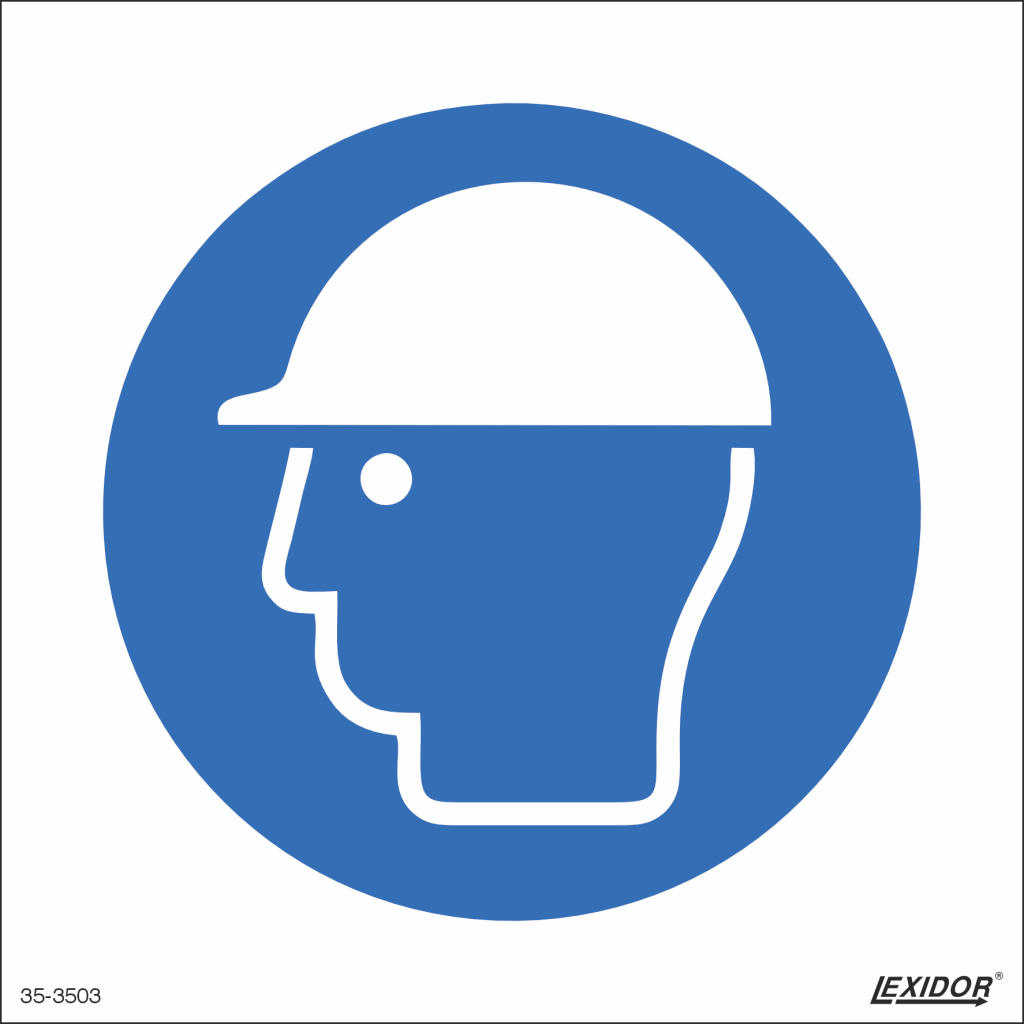 Wear Head Protection