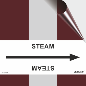 Steam