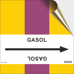 Gasol